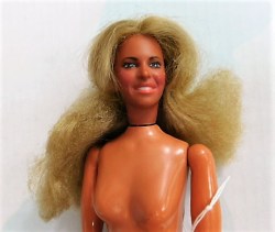 BIONIC WOMAN NUDE A
